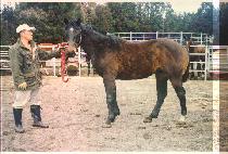 �������÷��� (ENERGY PLUS) ����