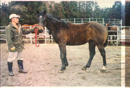 �������÷��� ����