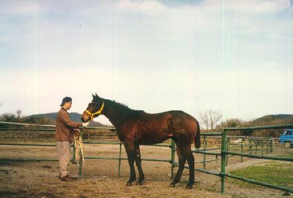 ���彺�� ����