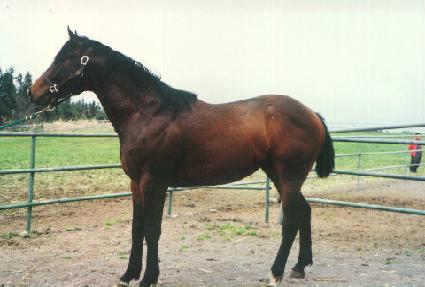 �Ͽ�޴� ����