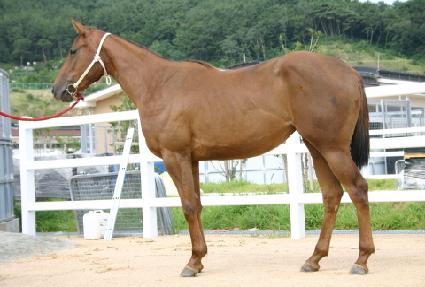 ������ ����