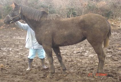 ��ս��� ����