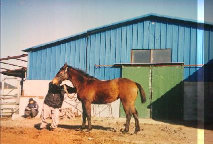 �ʱ� ����