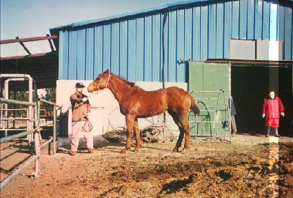 �츮���� ����