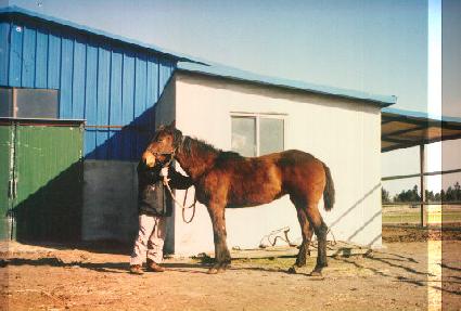 ��Ǫ�� ����