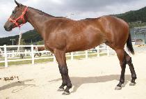 ���д��� (MANBUN DAHAENG) ����