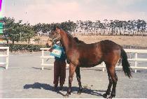 ������ (UNGBI YEOKJU) ����