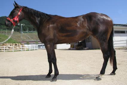 ����ź�� ����