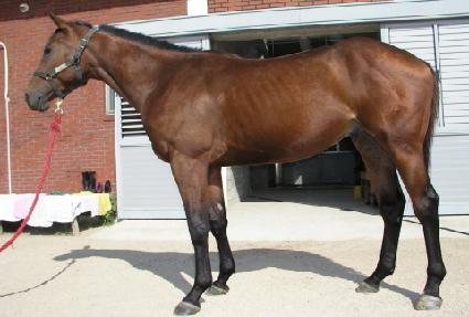 Ž���� ����