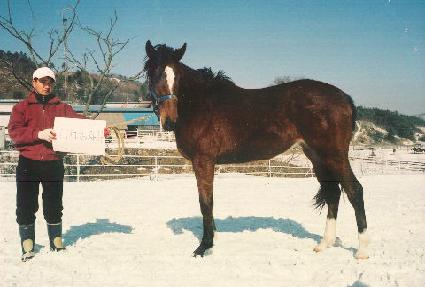 �������̾�Ʈ ����