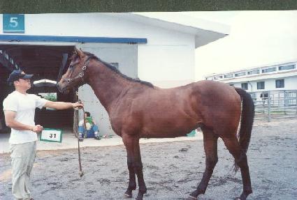 �ƴ��ǹ̼� ����