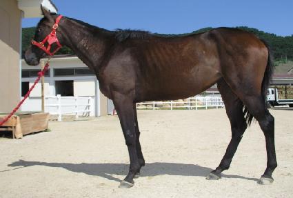 �����״� ����