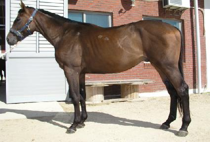 Ȩ���� ����