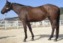 �漮�� (HEUKSEOKDO) ����