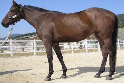 �漮�� ����