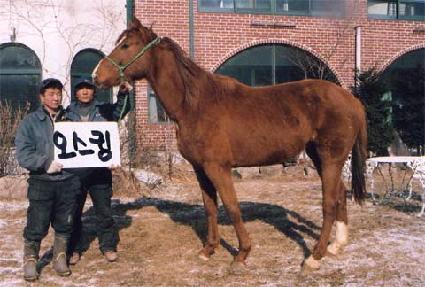 ����ŷ ����