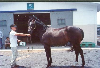 �ſ��� ����