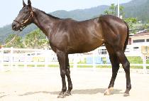 ��Ȼ� (JANGANSA) ����