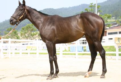 ��Ȼ� ����