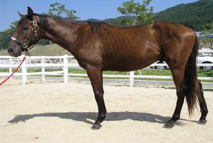 �����ϵ� ����