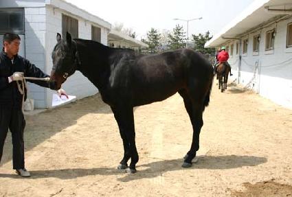 �׸�Ÿ�̰� ����