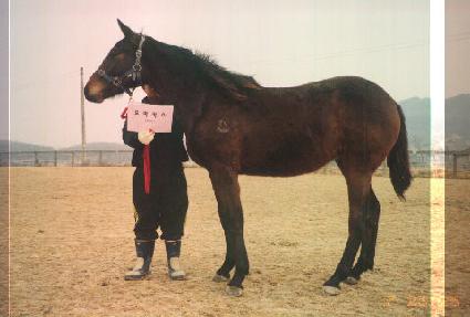 �ξ�ť ����