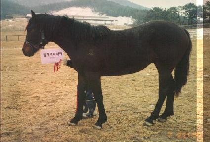 �ξ⸶��ƾ ����