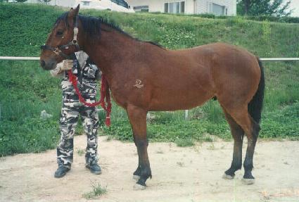 õ������ ����