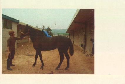 ����ƽ���� ����