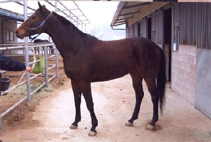 �������� ����