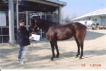 ����ǳ (MUJEOKPUNG) ����