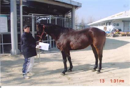 ����ǳ ����