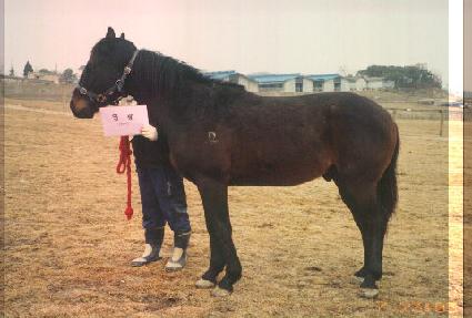 �������� ����