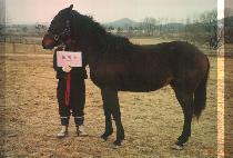 �츮�������� (JULINO PRINCE) ����