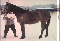 �����ǹ� (MAGIC SILVER) ����