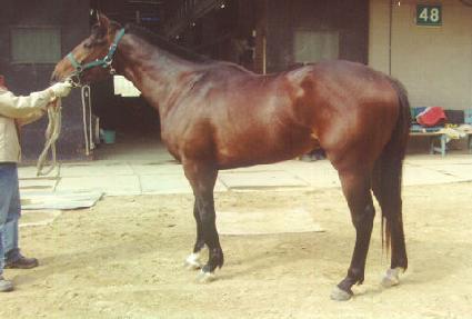 �������� ����