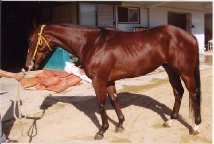 ���̽��� ����