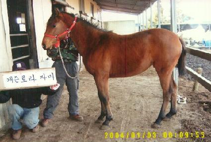 �̺� ����