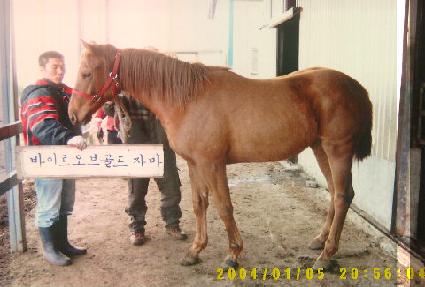 �ٿ� ����