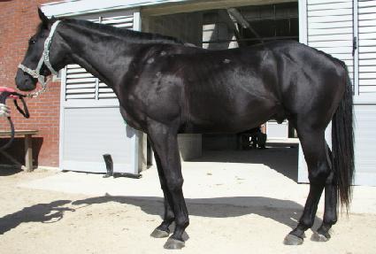 Ȳ�ݹ��� ����