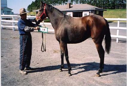 �Ƹ��ٿ�Ҹ� ����