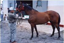 ��۹̼� (GIPPEUN MISO) ����