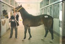 ���� (GWANTONG) ����