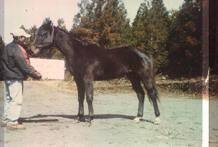 õ��� ����