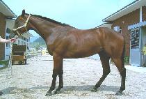 ���� (JEONNYEOL) ����