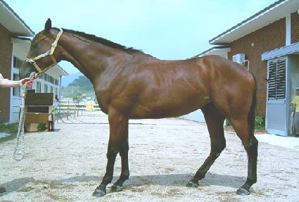 ���� ����