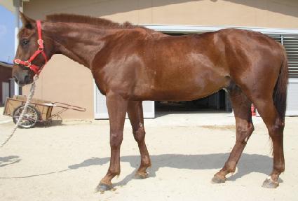 �ݰ��뱳 ����