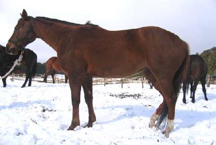 ���� ����