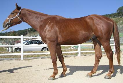 �ֳ��� ����