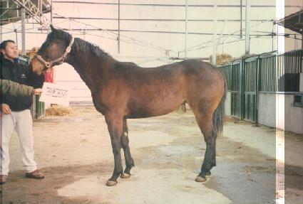 ��ŭ�� ����